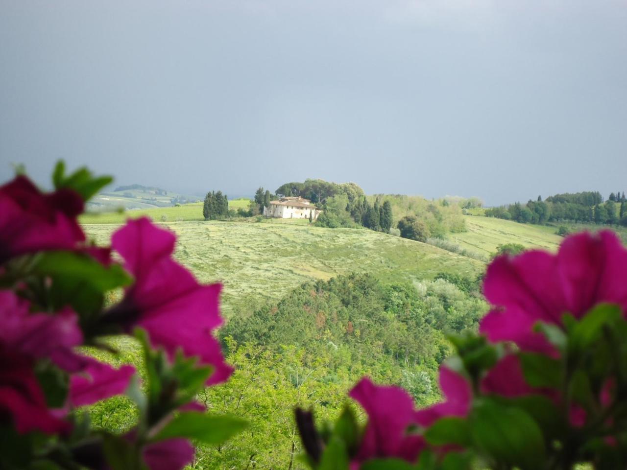 Borgo Fajani Konuk evi Terricciola Dış mekan fotoğraf